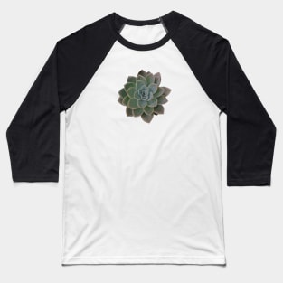 Low Poly Green Succulent Baseball T-Shirt